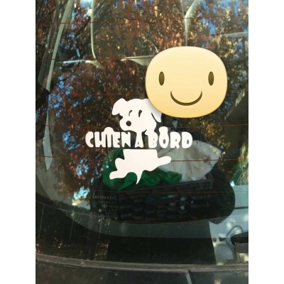 Chien, Chat à bord 