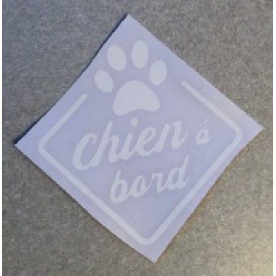 Chien, Chat à bord 