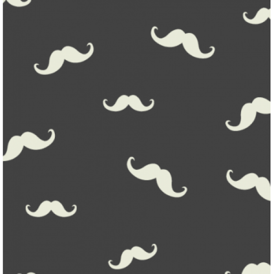 Coton / Selection Isa tissus Qc / Moustache oblique fond gris