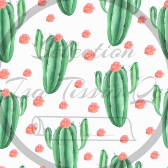 Tissus pour maillot, Lycra / Selection Isa tissus Qc / Cactus verts foncés avec fleurs rose/pêche fond blanc