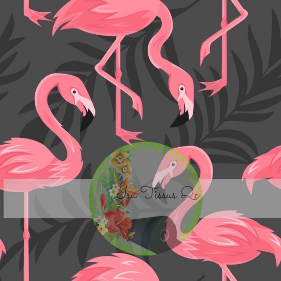 Minky / Selection Isa tissus Qc / Flamant roses, feuilles tropicales, fond gris