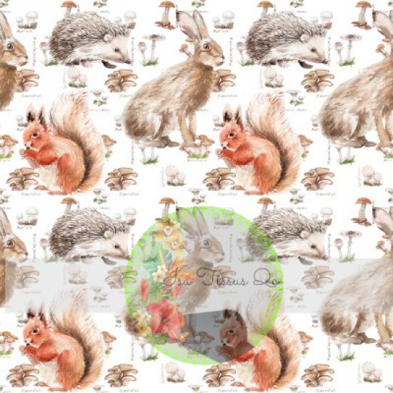 AWJ imprimé / Animaux, écureuil, lapin, hérisson, nature, watercolor, fond blanc