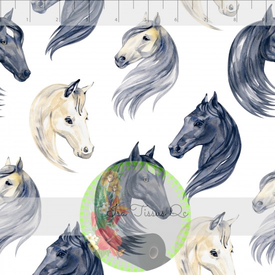 DBP / Double Brush Poly / Tête de chevaux watercolor, fond blanc