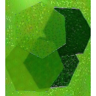 Wrapi éco végé 9''1/2