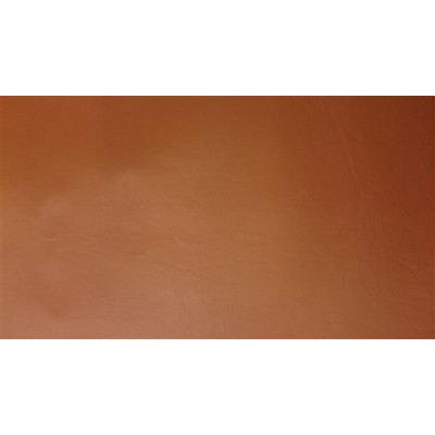 CUIRETTE INTÉRIEUR