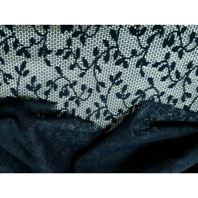 DENTELLE