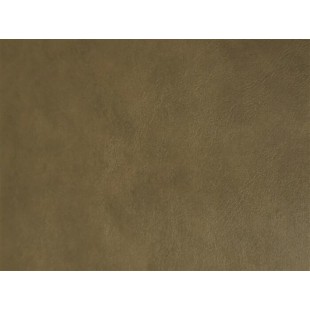 CUIRETTE EXTÉRIEUR
