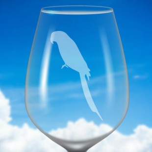Identificateur de verre à vin givré