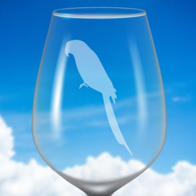 Identificateur de verre à vin givré