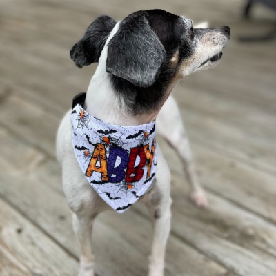 Foulard pour chien personnalisé