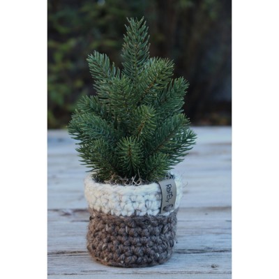 Sapin et cache-pot