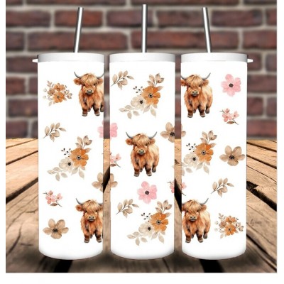 Vache highland Vache highland