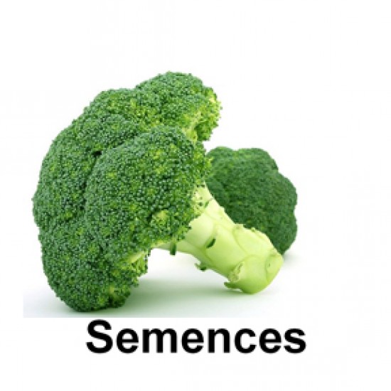 Semences Brocoli munchkin