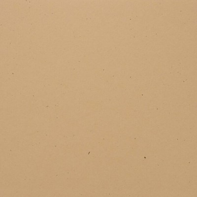 Bazzill  12x12 - Speckle - Sand dollar