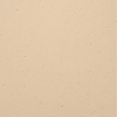 Bazzill  12x12 - Speckle - Natural stone
