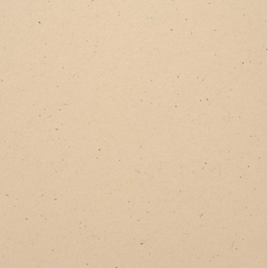 Bazzill  12x12 - Speckle - Natural stone