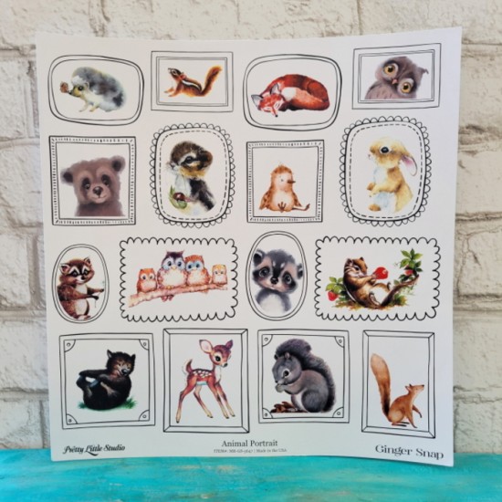 Pretty Little Studio - Papier 12'' x 12'' - Animal...