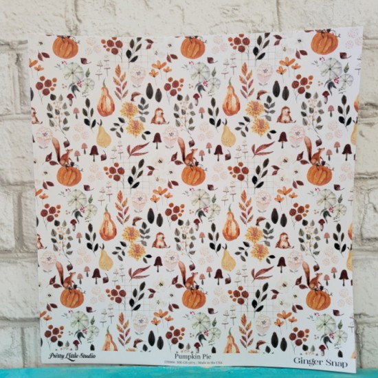 Pretty Little Studio - Papier 12'' x 12'' - Pumpink Pie