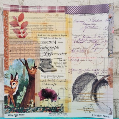 Pretty Little Studio - Papier 12'' x 12'' - Hike...