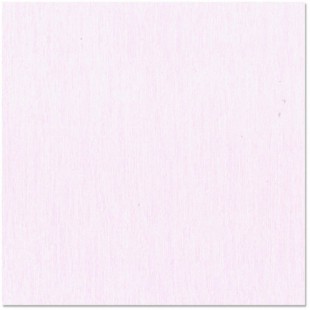 Bazzill tutu pink- tutu rose 12x12