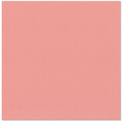 Bazzill piglet- cochonnet 12x12