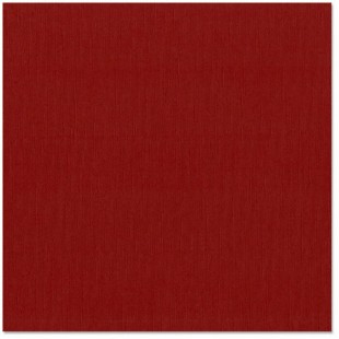 Bazzill ruby slipper- chaussure écarlate 12x12