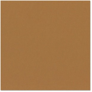 Bazzill cinnamon stick - bâton de cannelle 12x12