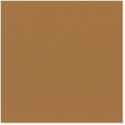 Bazzill cinnamon stick - bâton de cannelle 12x12