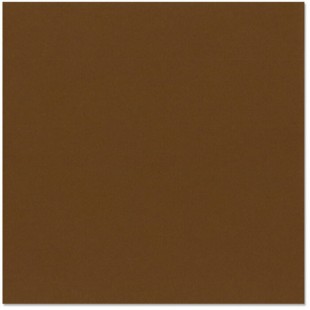 Bazzill truffle - trufa 12x12