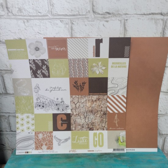 Lorelai Design - Papier 12'' x 12'' - Explore 05
