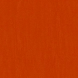 Bazzill pumpkin patch - jardin de citrouille 12x12