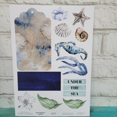 3 Quarter Design- Mini projet - Ocean lover