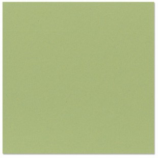 Bazzill lily pond- fleur d'eau 12x12