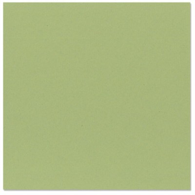 Bazzill lily pond- fleur d'eau 12x12