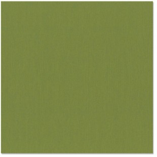 Bazzill guacamole 12x12