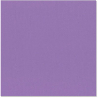 Bazzill purple pizzazz - violet glamous 12x12