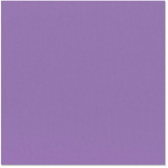 Bazzill purple pizzazz - violet glamous 12x12