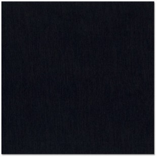 Bazzill blackbird - corbeau 12x12