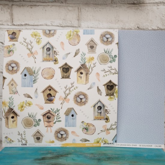Les ateliers de Karine - Papier 12'' x 12''  -...