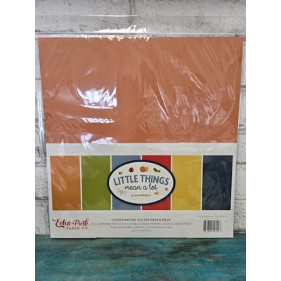 Echo Park - Papiers 12x12 - Little Things mean a...
