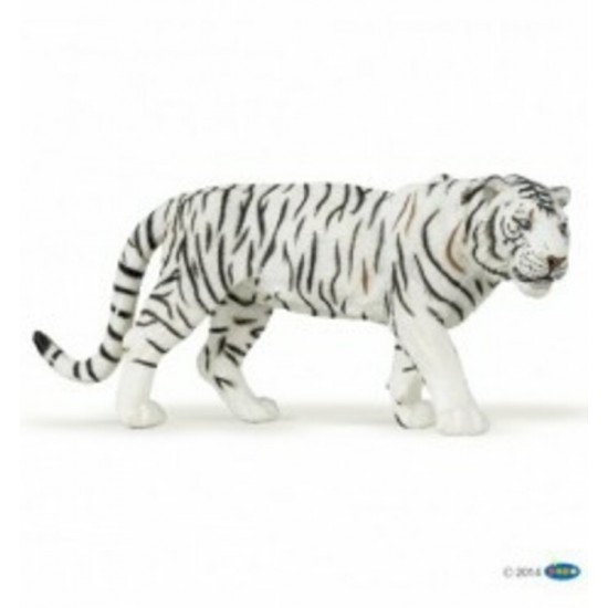 TIGRE BLANC