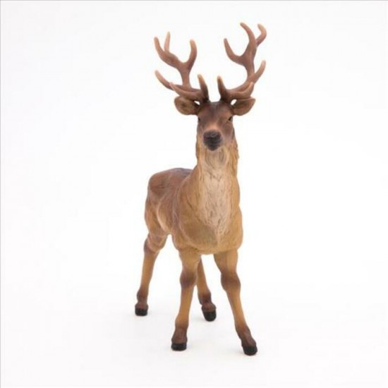 CERF
