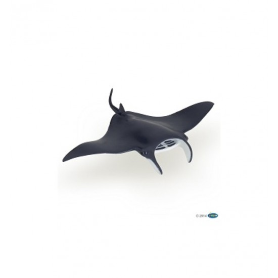 RAIE MANTA