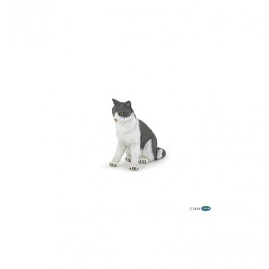 CHATTE ASSISSE