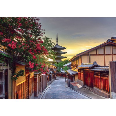 PZ 1000 / KYOTO JAPON