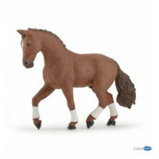 CHEVAL HANOVRIEN ALEZAN