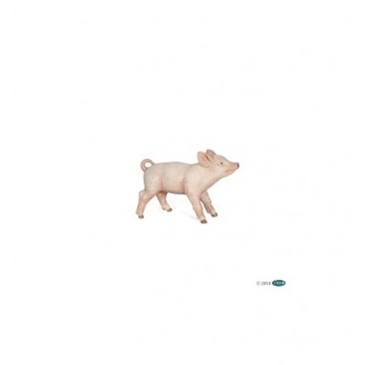 COCHONNET FEMELLE COCHONNET FEMELLE