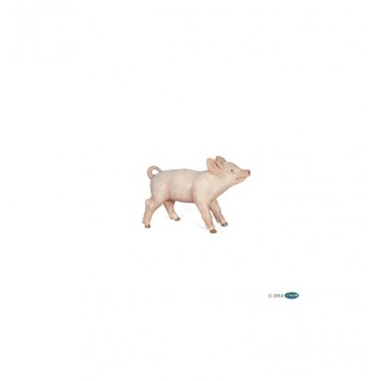 COCHONNET FEMELLE