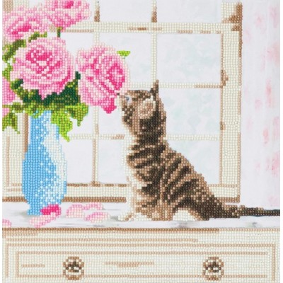 TOILE DIAMANT / CHAT ET FLEUR DANS UN CADRE