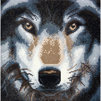 TOILE DIAMANT / LOUP DANS UN CADRE